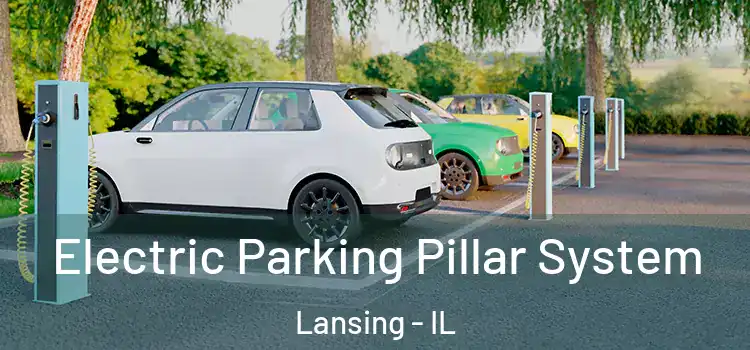  Electric Parking Pillar System Lansing - IL