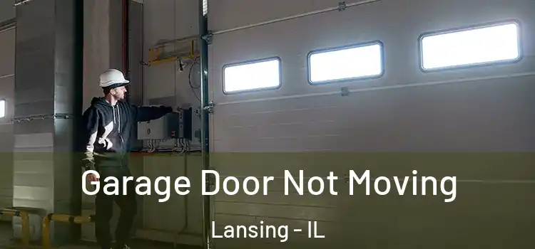  Garage Door Not Moving Lansing - IL
