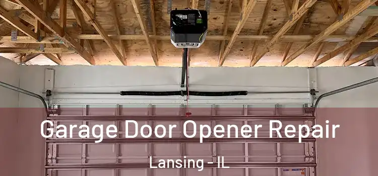  Garage Door Opener Repair Lansing - IL