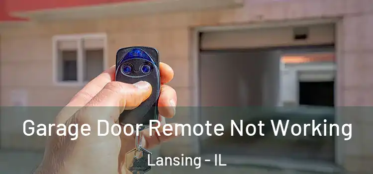  Garage Door Remote Not Working Lansing - IL