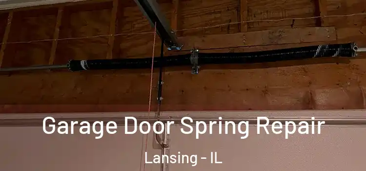  Garage Door Spring Repair Lansing - IL