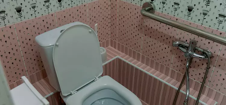 Meeting Diverse Needs With Accessible Restroom Solutions in Lansing, IL